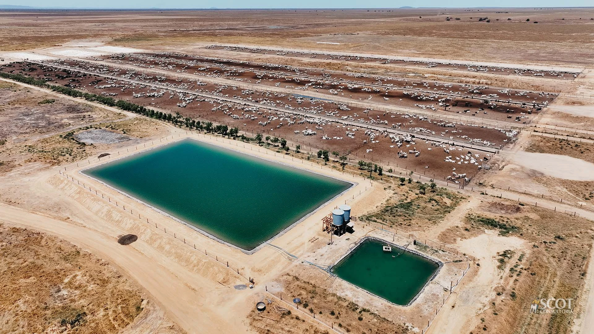 ESG é destaque em confinamentos da Bahia e Norte de Minas